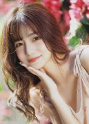 带领人赖清德声望为48.2%