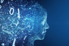 <b>《纽约时报》正在用了几个案例</b>